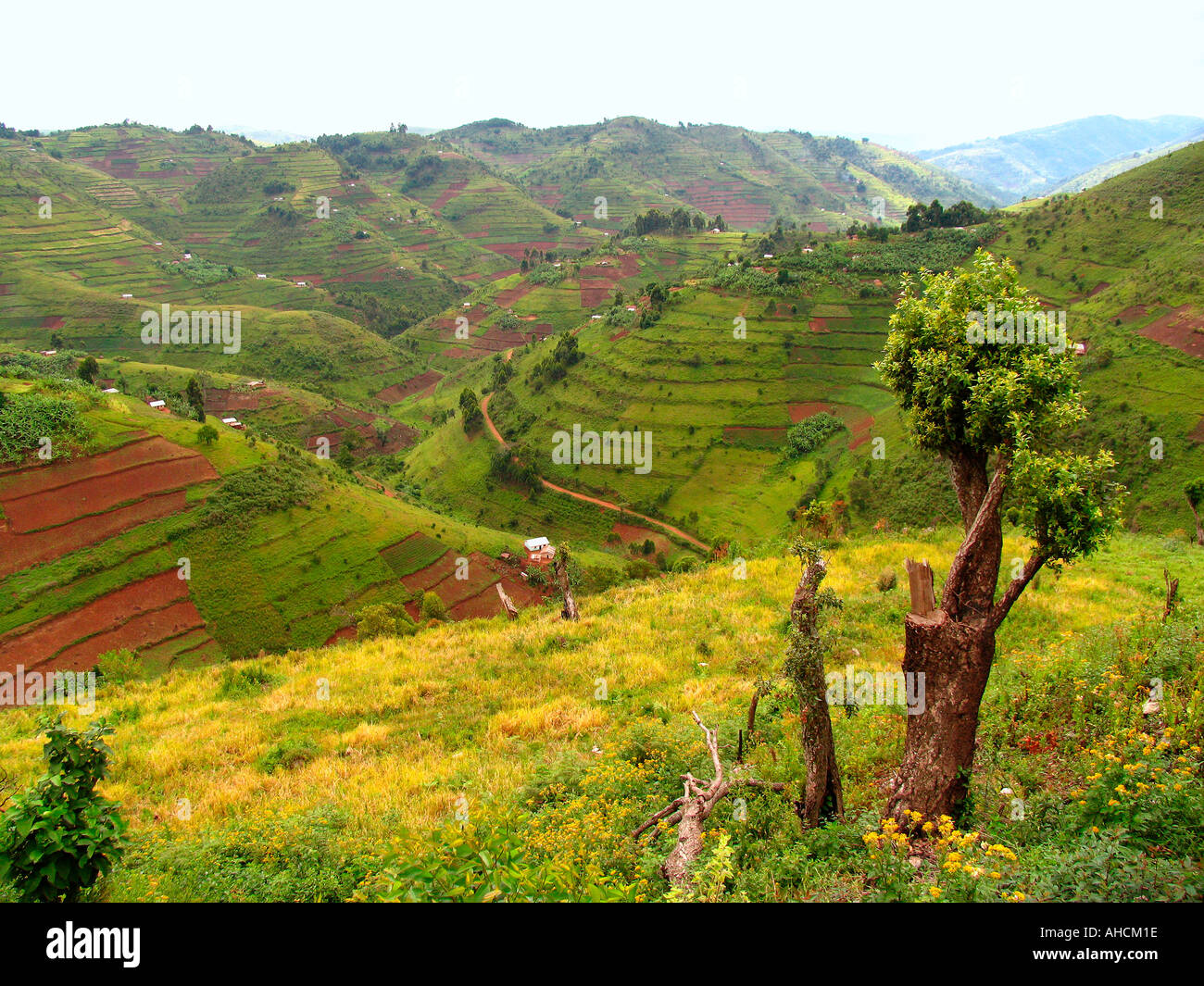 L'utilisation des terres dans l'Ouganda Banque D'Images