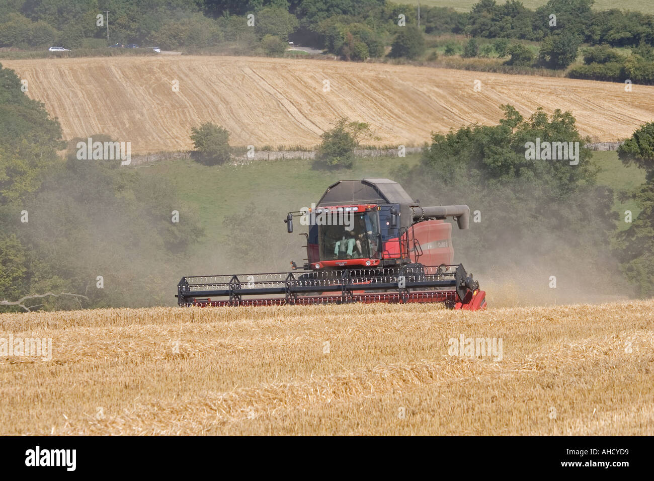 Moissonneuse-batteuse rouge travaillant dans Cotswolds près de Winchcombe UK Banque D'Images