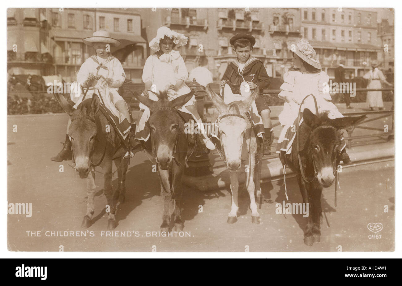 Les ânes à Brighton Banque D'Images