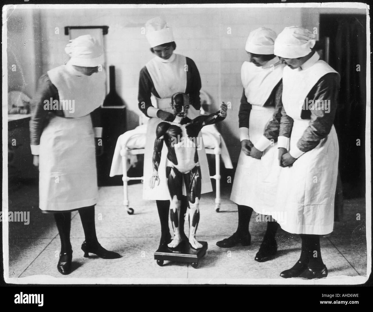 Leçon d’anatomie Banque D'Images