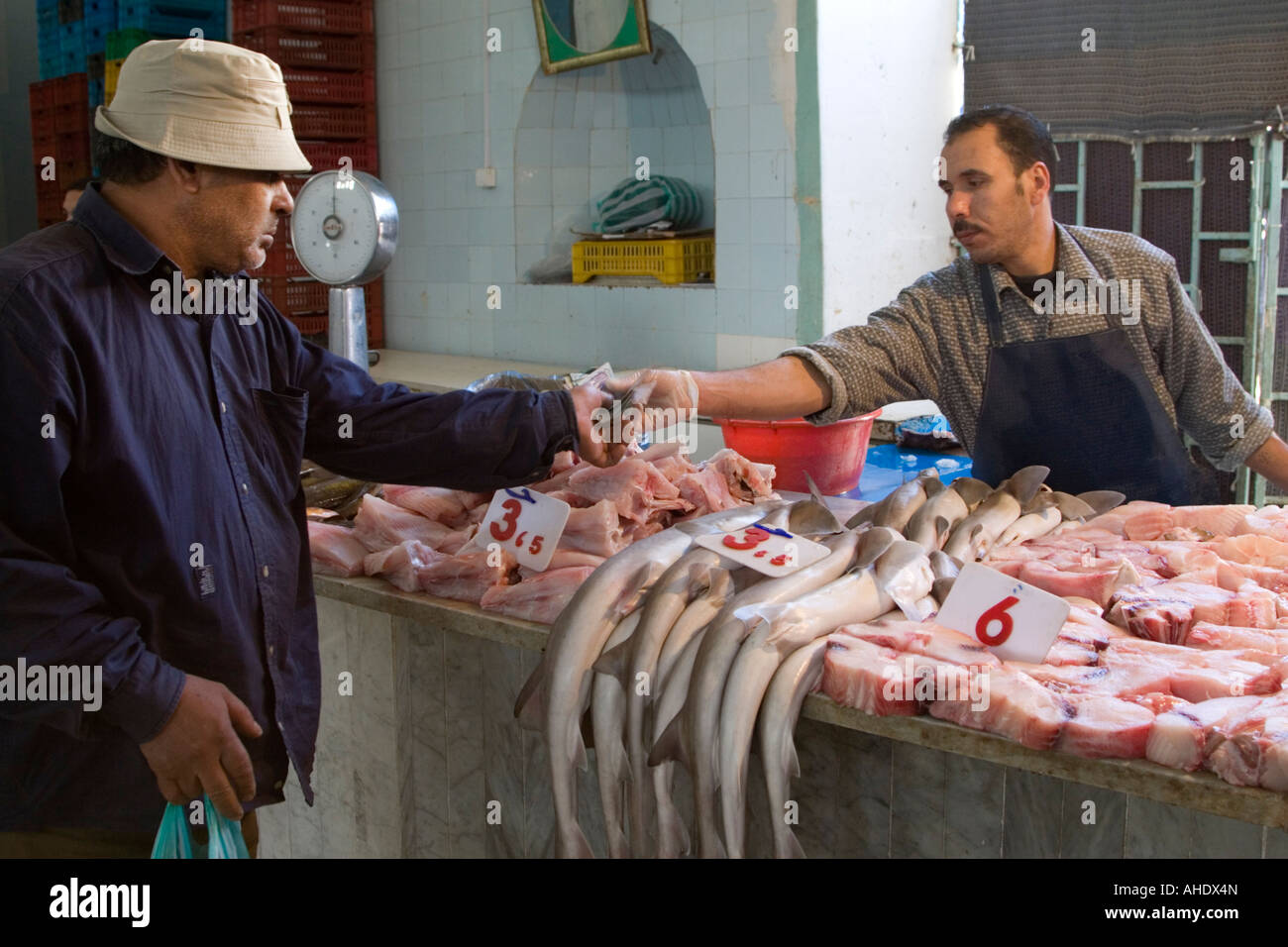 Tripoli (Libye). Marché aux poissons, Rashid Street, le client paie pour un achat Banque D'Images