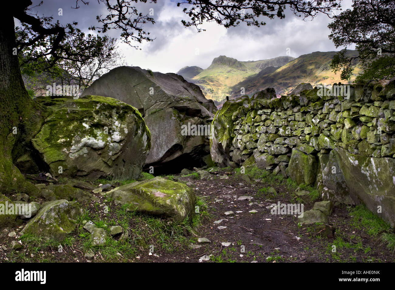 Copt Howe rochers Langdale à Great Langdale avec les Langdale Pikes dans la distance. Parc National de Lake District, UK Banque D'Images