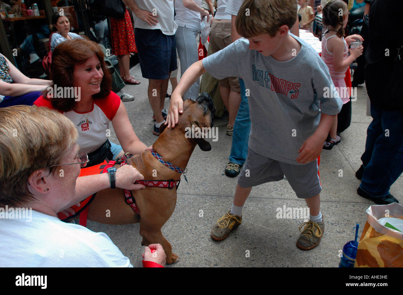 Les enfants et les adultes nous examinerons les possibilités d'animaux domestiques a Broadway aboie adoption juste dans l'allée de Schubert à New York City Banque D'Images