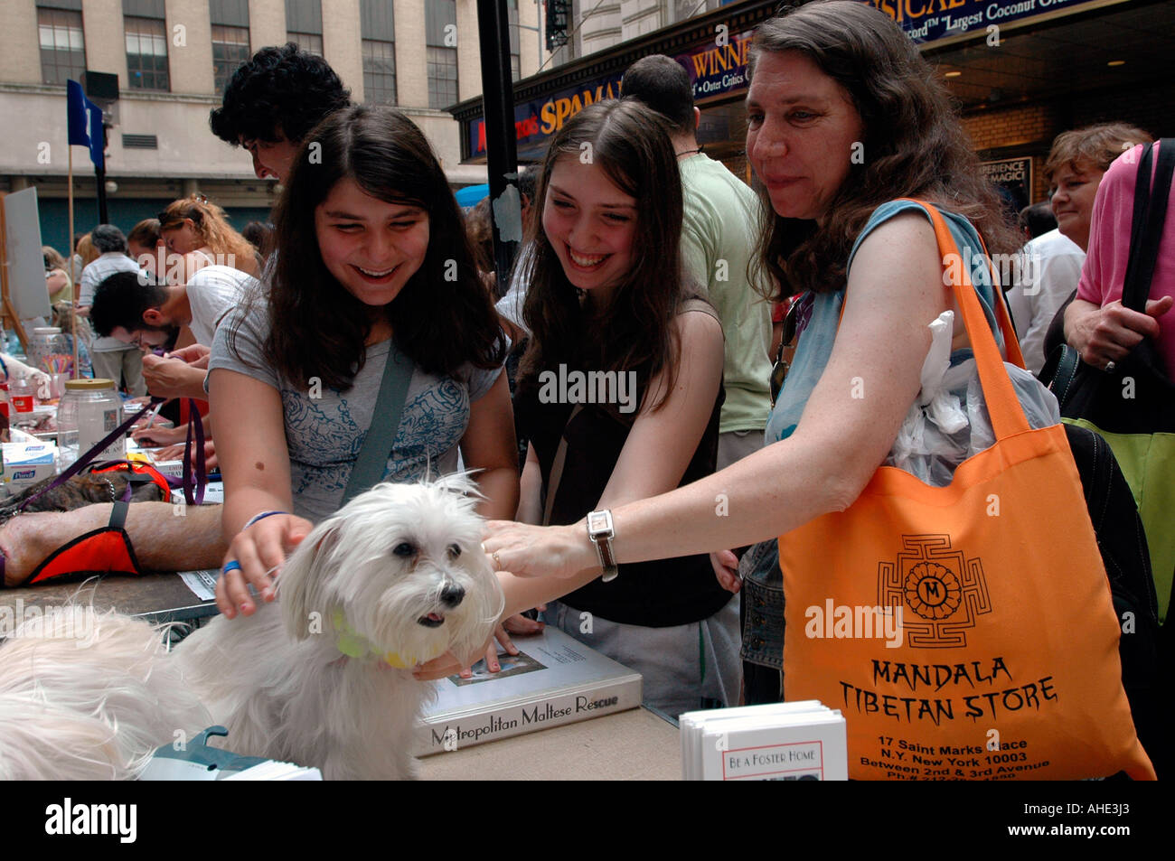 Les enfants et les adultes nous examinerons les possibilités d'animaux domestiques a Broadway aboie adoption juste dans l'allée de Schubert à New York City Banque D'Images