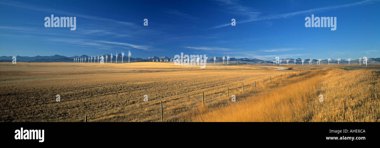 Wind farm, Crowsnest Pass, Cowley, Alberta, Canada Banque D'Images