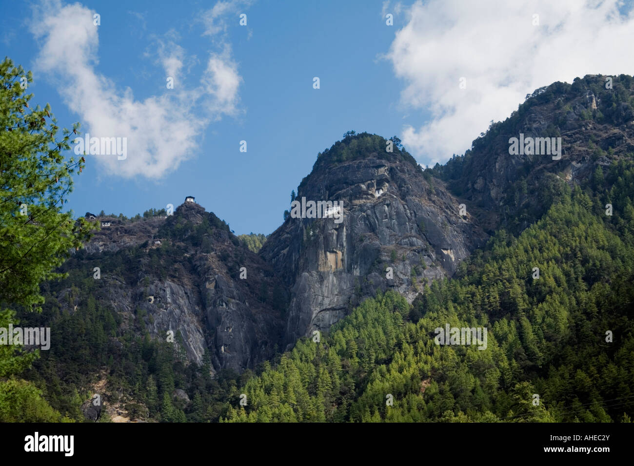 Les cellules de méditation et bâtiments monastiques sont dispersés dans des endroits aérés improbable dans les forêts de pins autour du Taktshang Goemba Banque D'Images