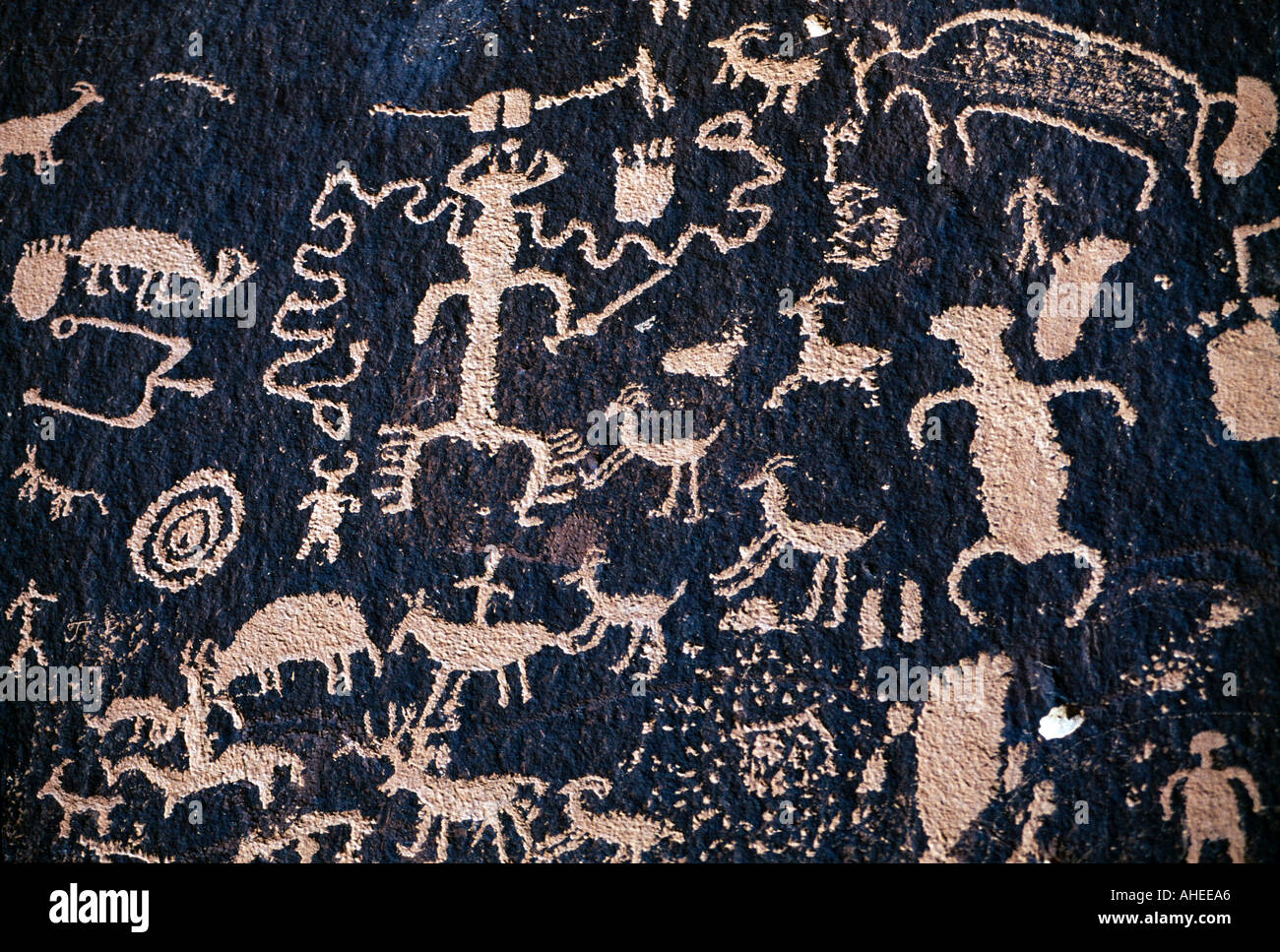 États-unis d'Amérique, de l'Utah, Canyonlands National Park, les Indiens Anasazi Pétroglyphes Rock, Rock Journal Banque D'Images