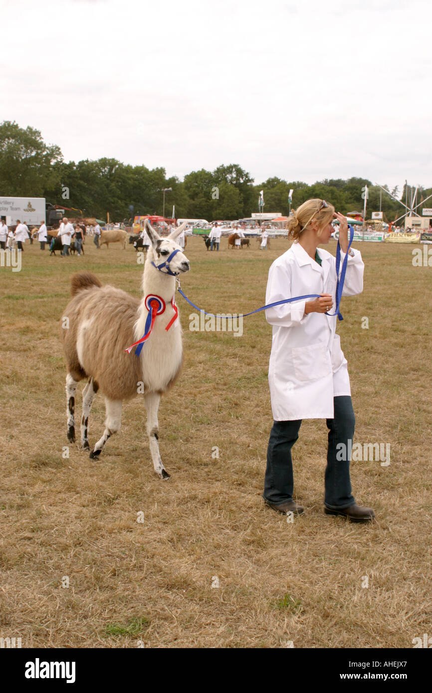 Le Cranleigh Show Août 2006 Banque D'Images