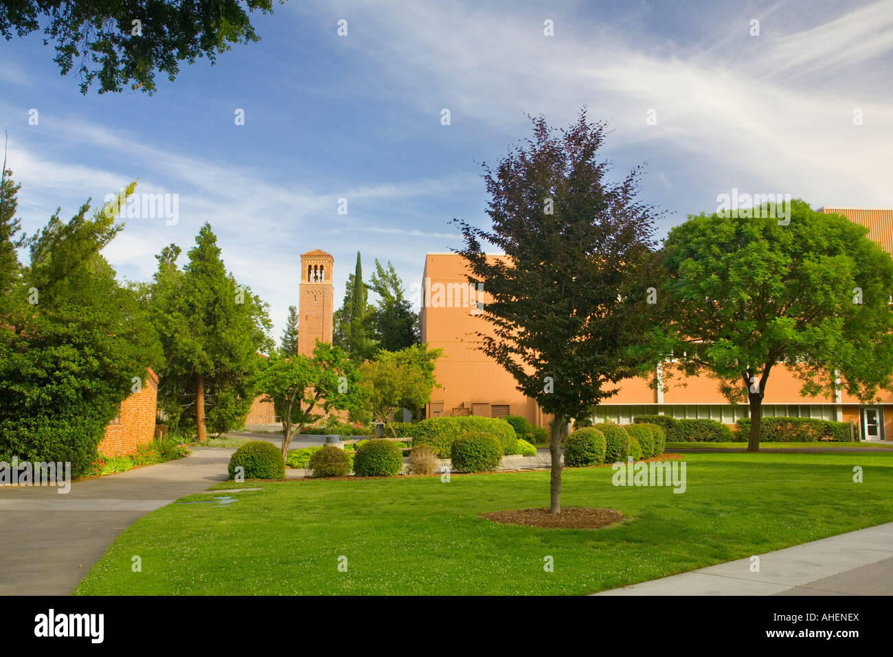 California State University Campus Chico au printemps Banque D'Images