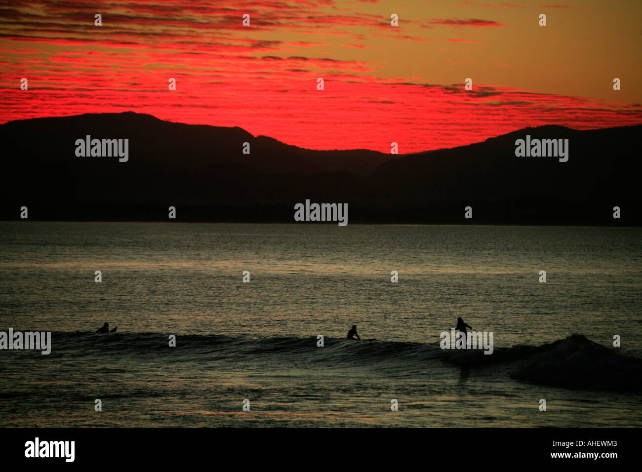 Surf la pause de l'après-midi à la plage de Wategos Byron Bay Australie au coucher du soleil Banque D'Images