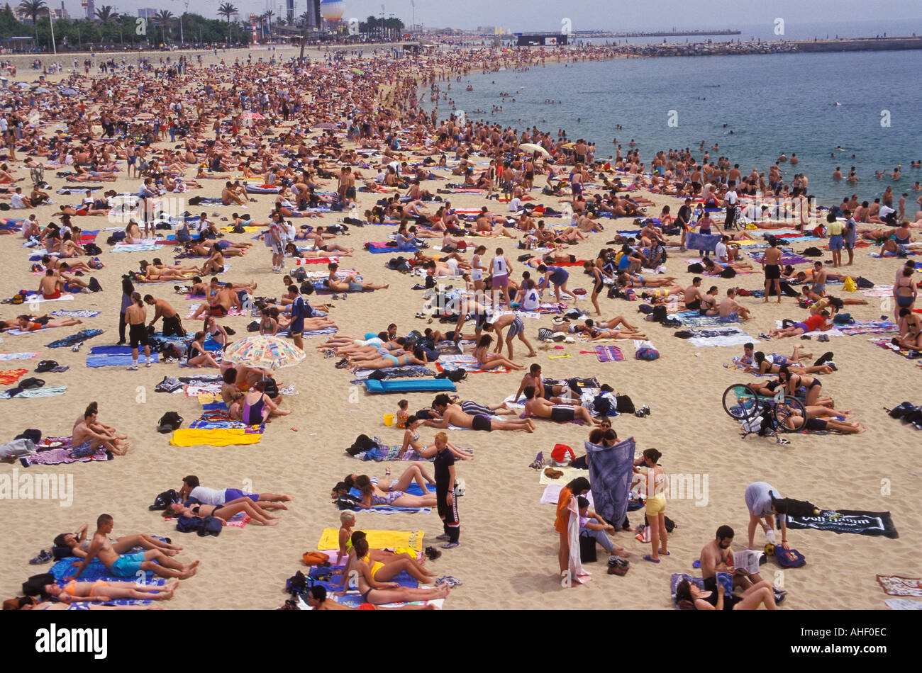 Espagne Catalogne Barcelone Platja De La Nova Icaria Plage
