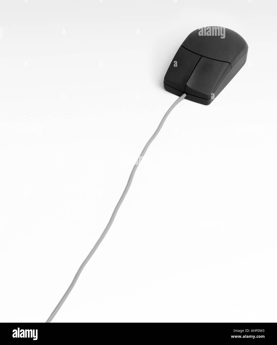 Souris d'ordinateur sur un fond blanc. Banque D'Images