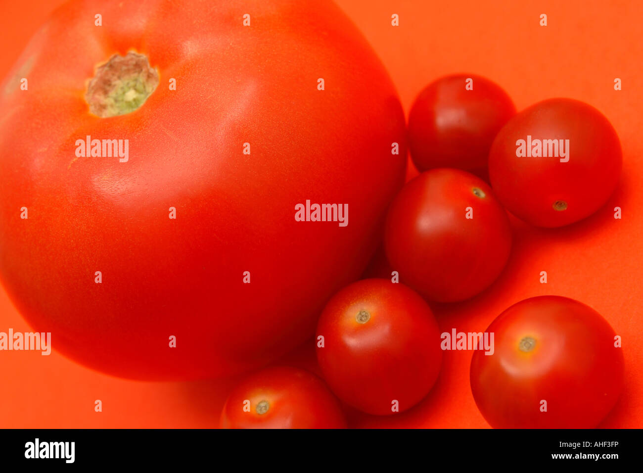 Frais mûrs tomates large small size Banque D'Images