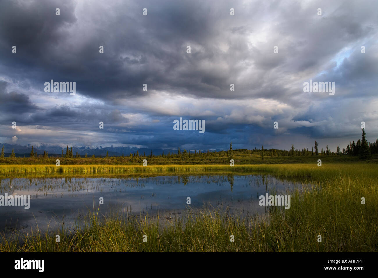 Étang sans nom avec des nuages de pluie, le parc national Denali, Alaska, USA Banque D'Images