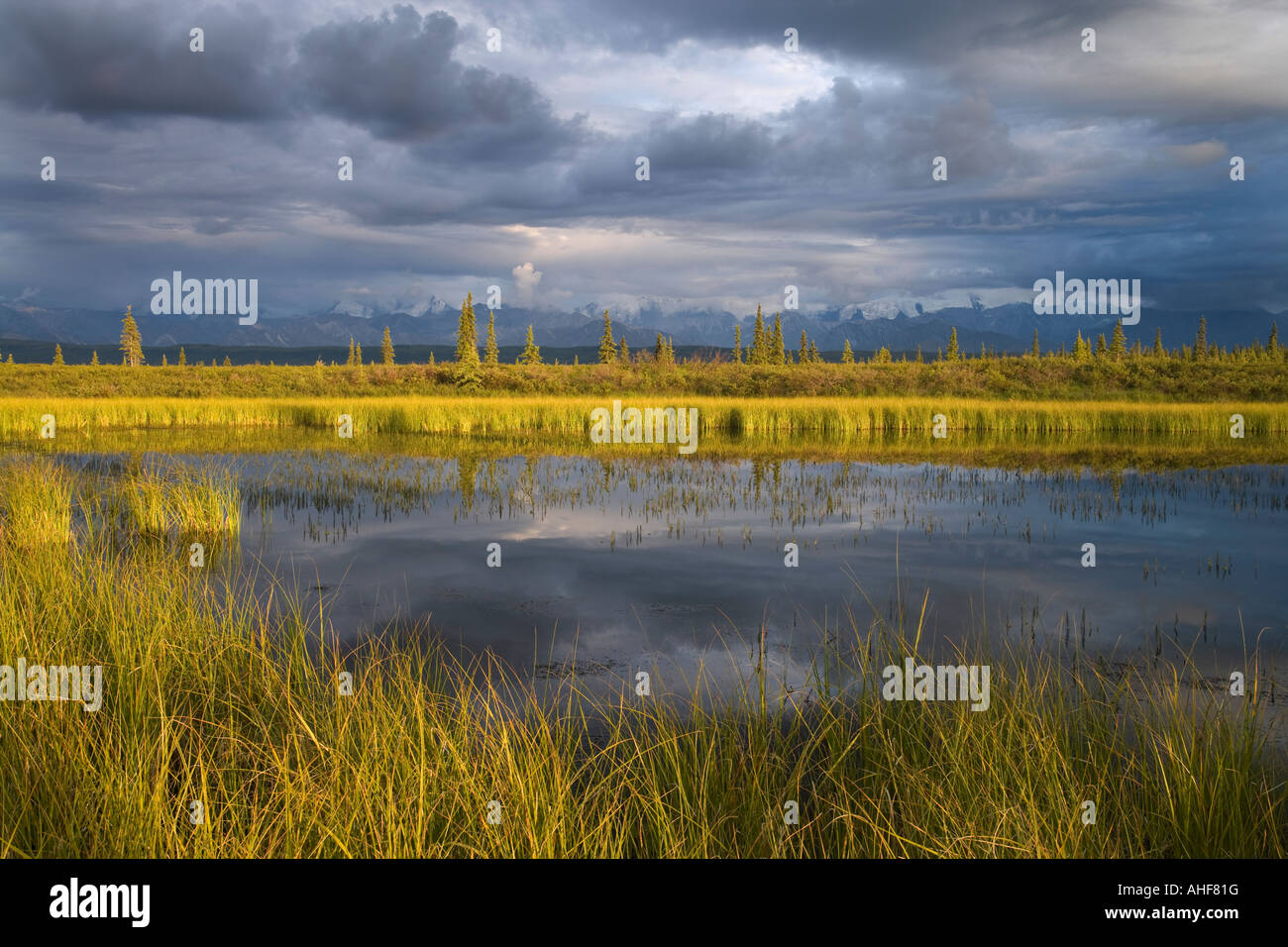 Étang sans nom avec des nuages de pluie, le parc national Denali, Alaska, USA Banque D'Images