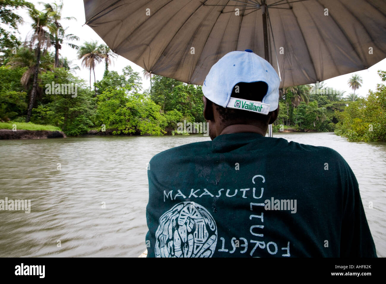 Prises d'une pirogue le long de la mangrove à Makasutu Nature et réserve culturelle, la Gambie Banque D'Images
