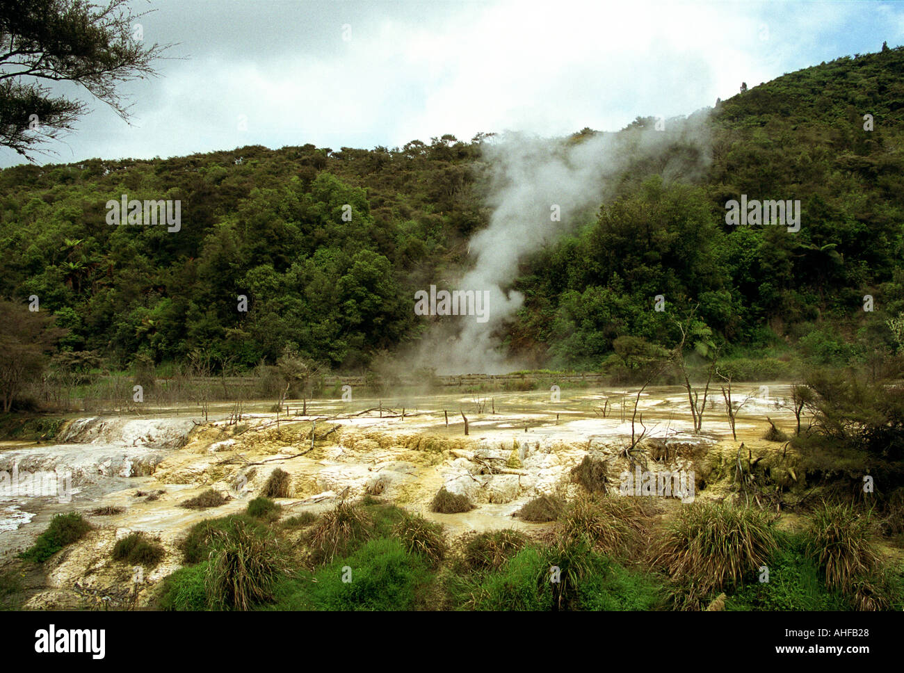 New Zealand 2003 la vallée volcanique de Waimangu une zone de production de vapeur de cratères et de fumeroles forment la base de cette célèbre sont géothermiques Banque D'Images