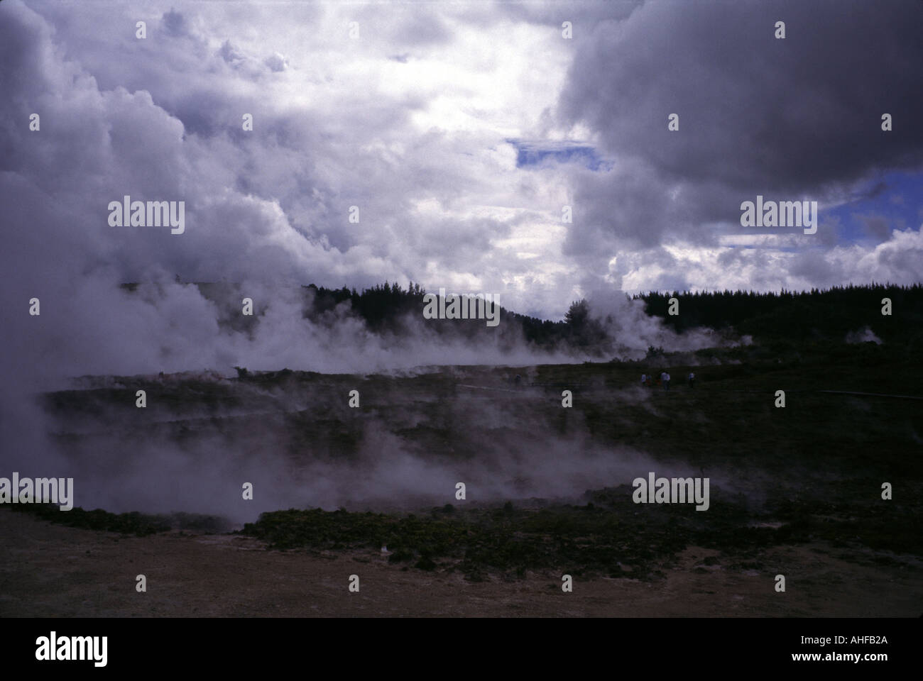 Nouvelle-zélande la vallée volcanique de Waimangu une zone de production de vapeur de cratères et de fumeroles forment la base de cette fameuse zone géothermique Banque D'Images