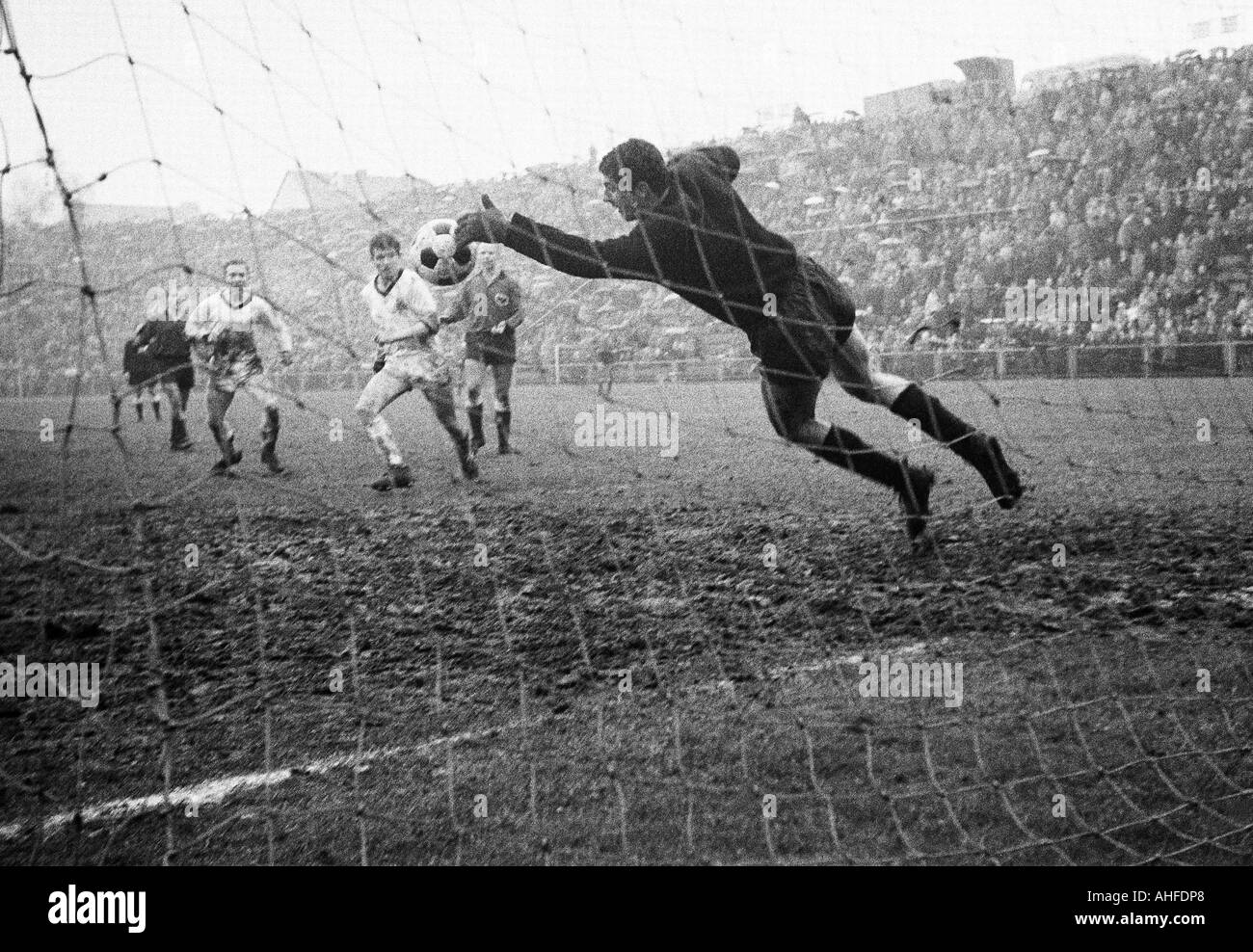 Football, Ouest Regionalliga 1964/1965, Borussia Moenchengladbach, versus Preussen Münster 0:0, Boekelberg Stadium à Moenchengladbach, scène du match, f.l.t.r. Bernd Rupp (MG), Jupp Heynckes (MG), Heinz Ruediger Voss (Münster), sauver par keeper Dieter Banque D'Images