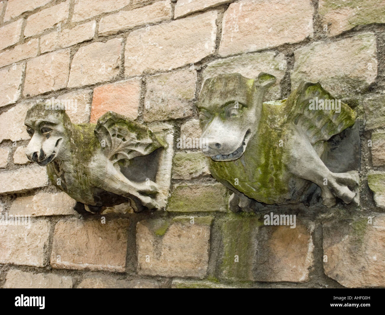 Les gargouilles, St Martin-le-Grand Église, York Banque D'Images