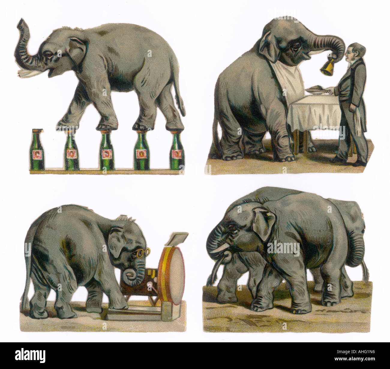 Exécution d'éléphants Banque D'Images