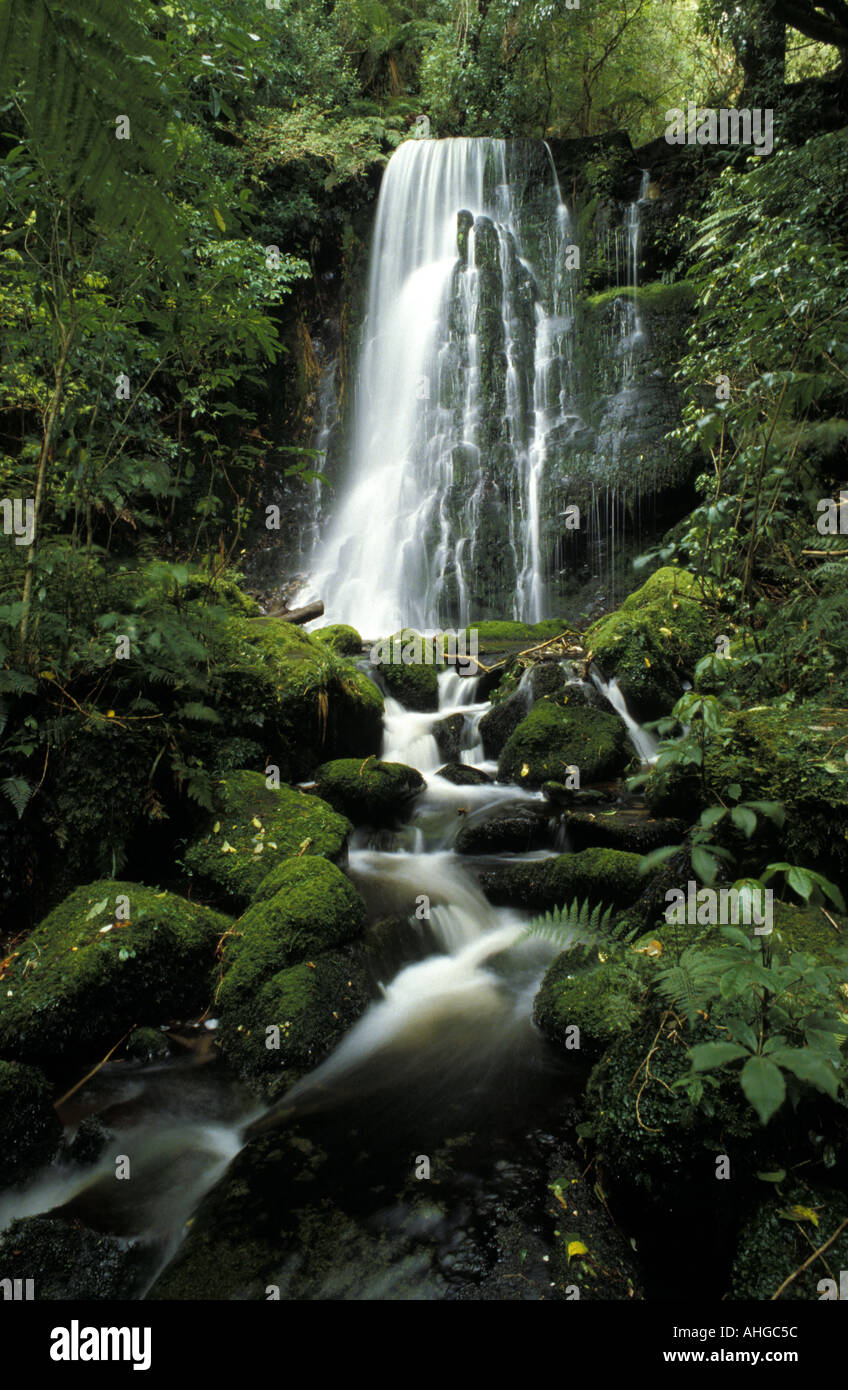 Matai Falls Sud Catlins Otago ile sud Nouvelle Zelande Banque D'Images