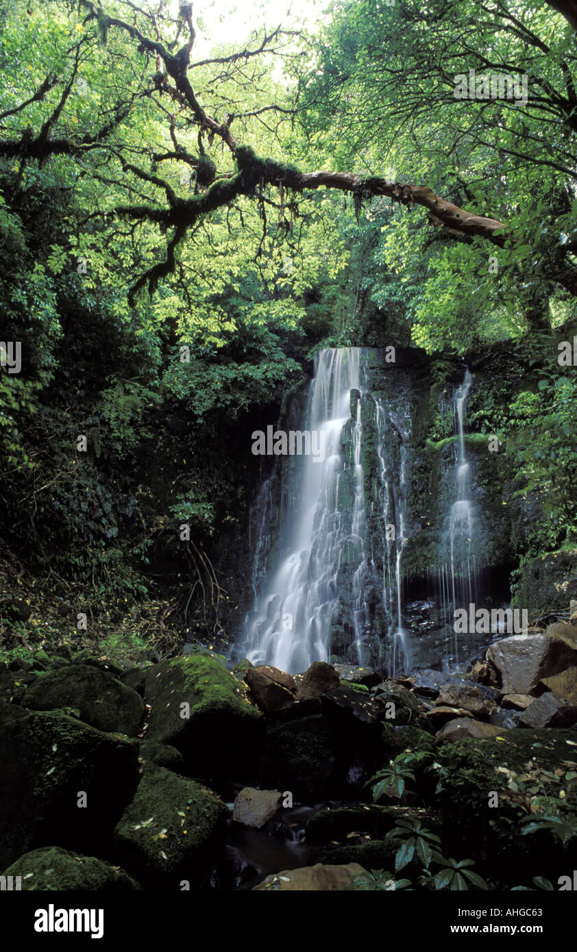 Matai Falls Sud Catlins Otago ile sud Nouvelle Zelande Banque D'Images