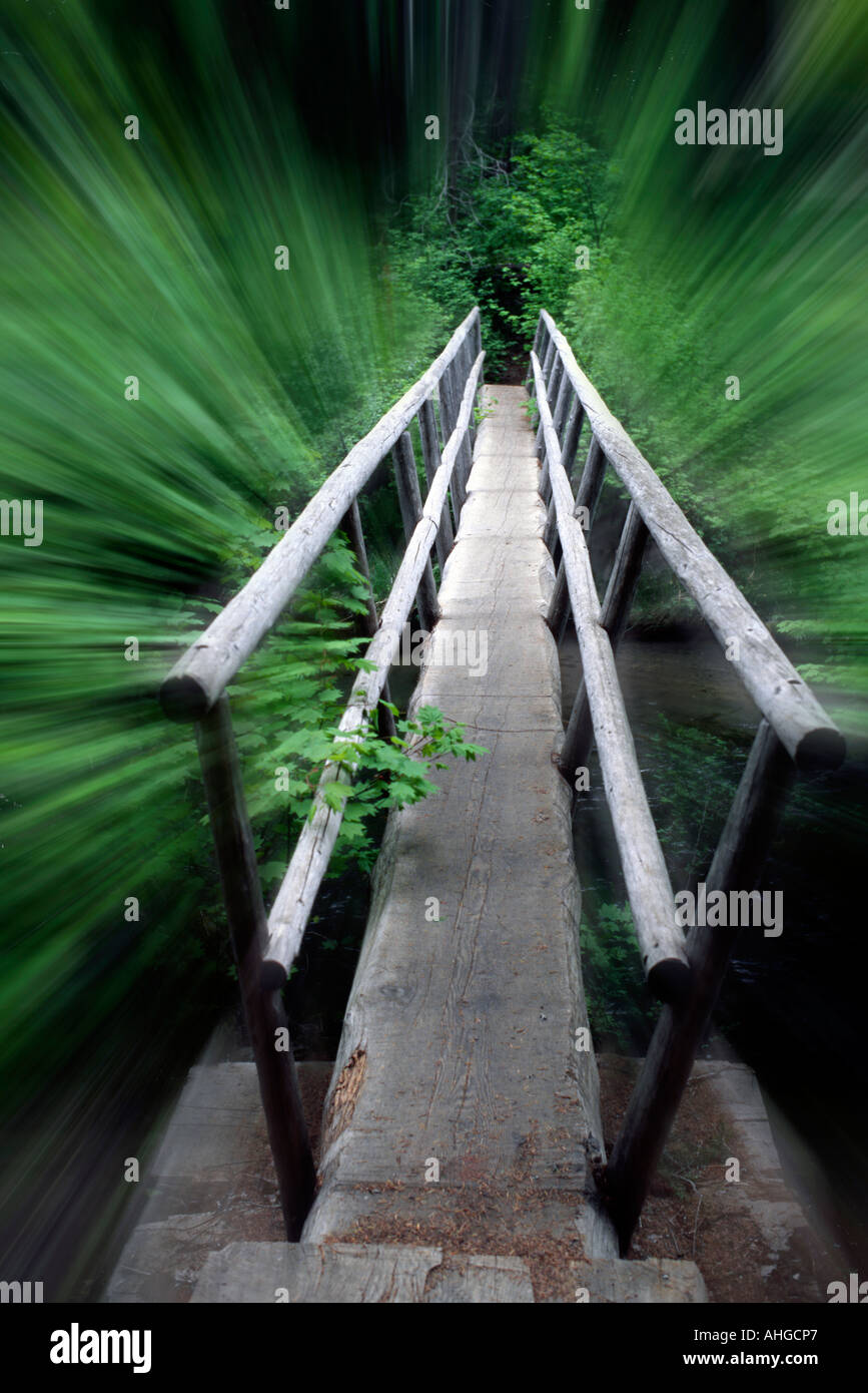 Un pont en bois dans une forêt avec des bords flous Banque D'Images
