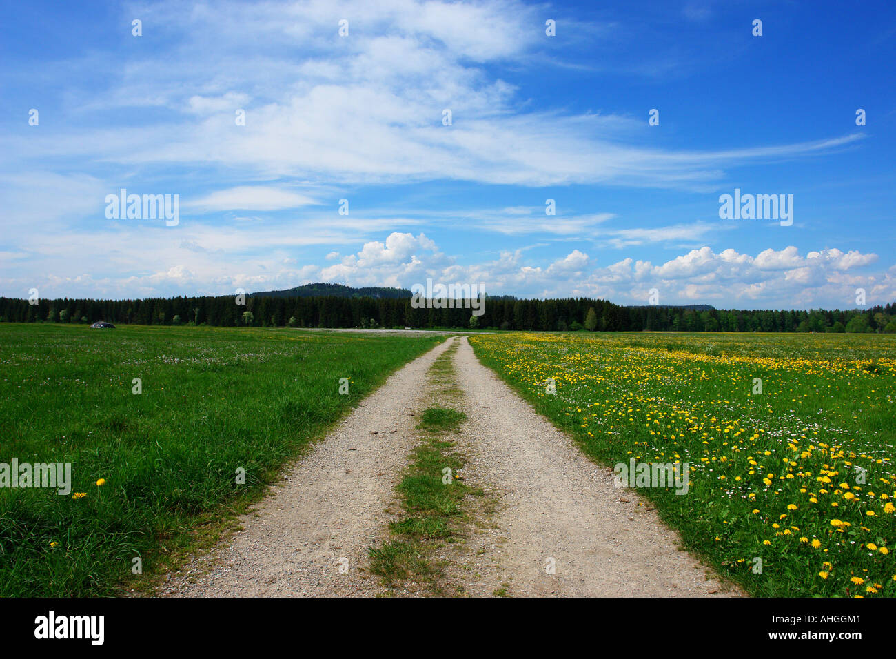 Dans le champ Chemin Banque D'Images