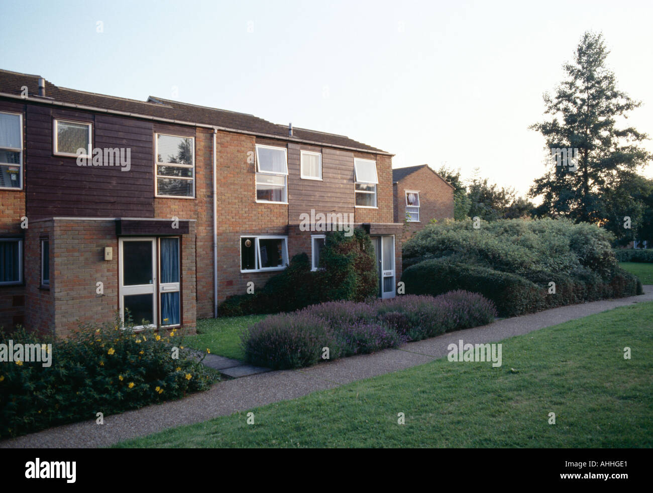 New Ash Green, Kent, Angleterre. Logement d'après-guerre. Architecte : Span, Eric Lyons Banque D'Images