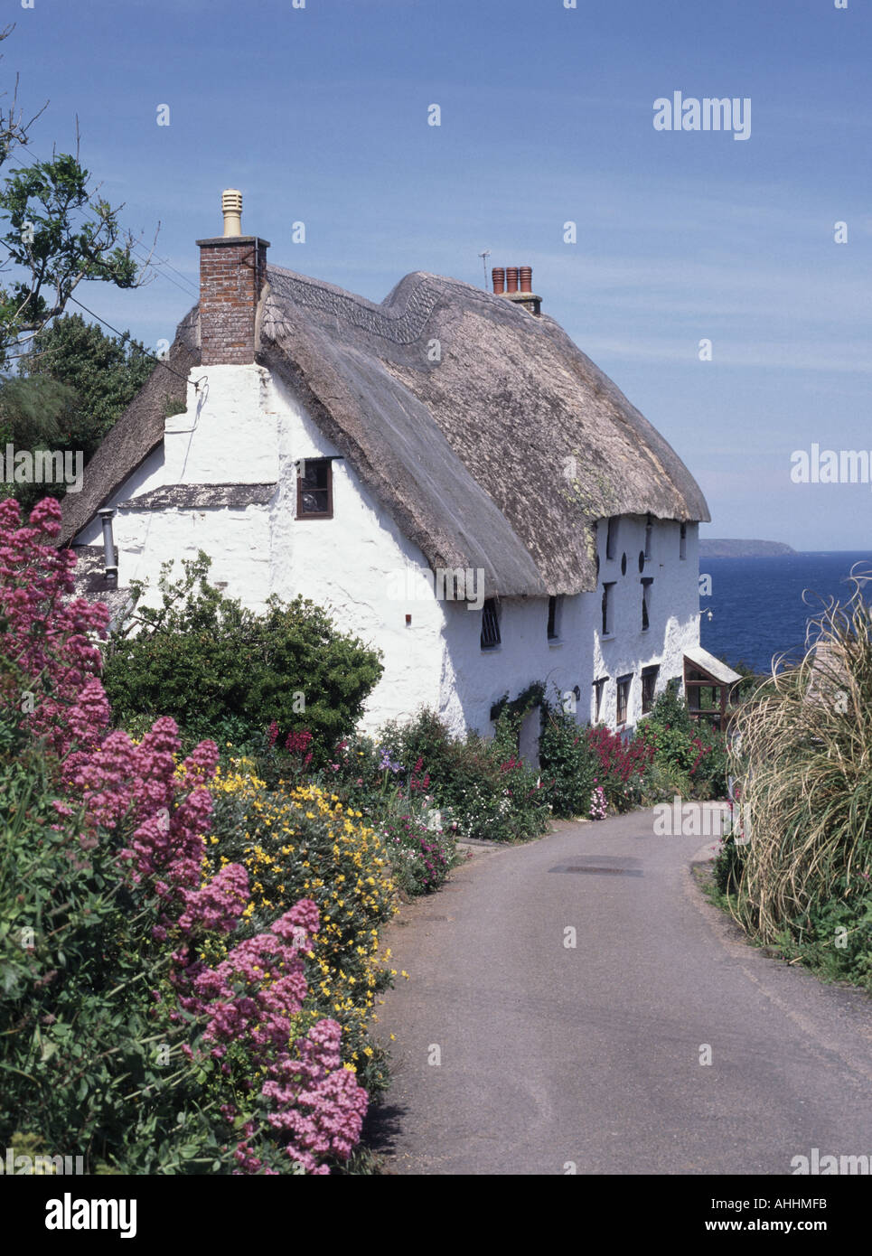 Toit de chaume sur les maisons de campagne anglaise dans la ruelle étroite de Cornish et fleurs à Church Cove petit hameau côtier de la paroisse de Landewednack Cornwall Royaume-Uni Banque D'Images