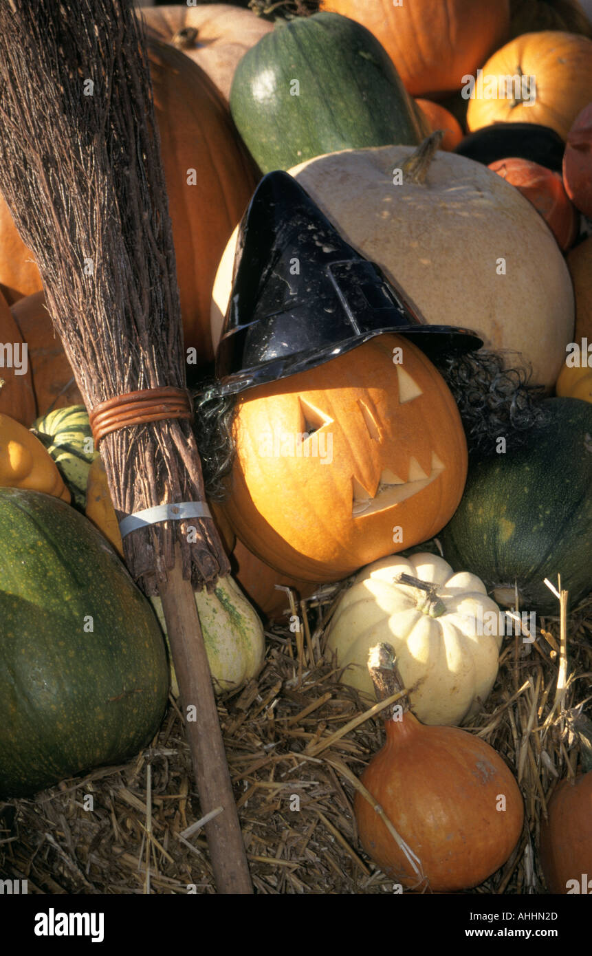 Farm shop display de citrouilles pour promouvoir le festival d'Halloween d'artifice et de traiter sur et autour du 31 octobre Banque D'Images