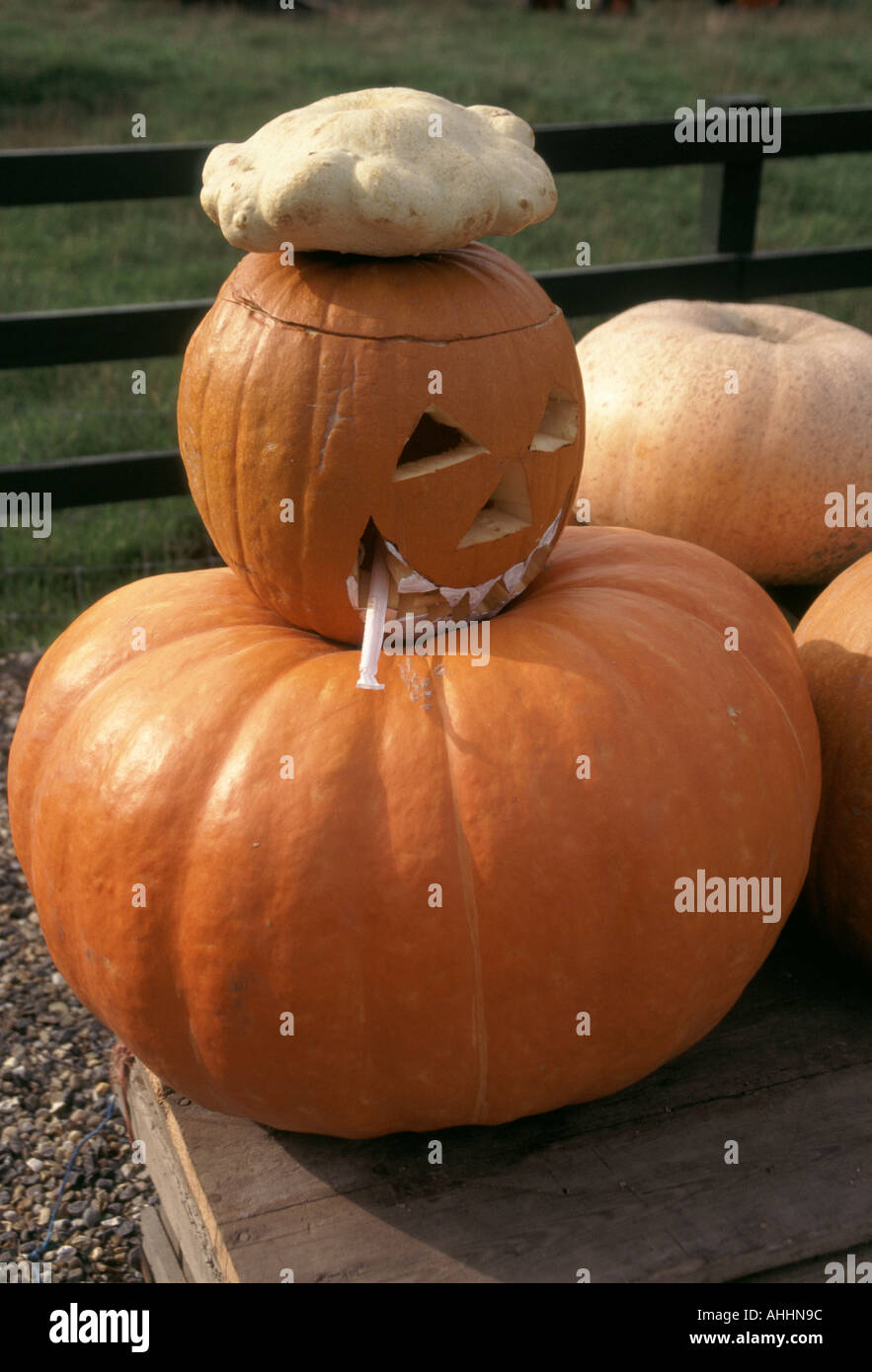 Magasin de ferme l'affichage des hamburgers à vendre à promouvoir le festival d'Halloween d'artifice et de traiter sur et autour du 31 octobre Banque D'Images