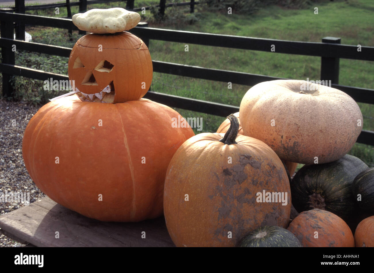 Farm shop display de citrouilles pour promouvoir le festival d'Halloween d'artifice et de traiter sur et autour du 31 octobre Banque D'Images
