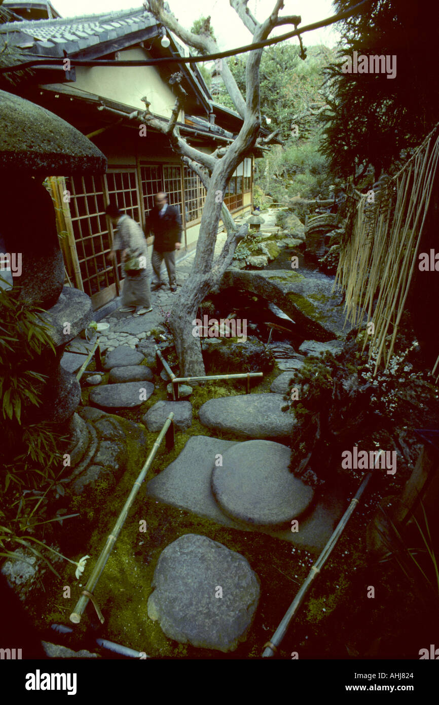 Jardin de thé de Kyoto au Japon Banque D'Images