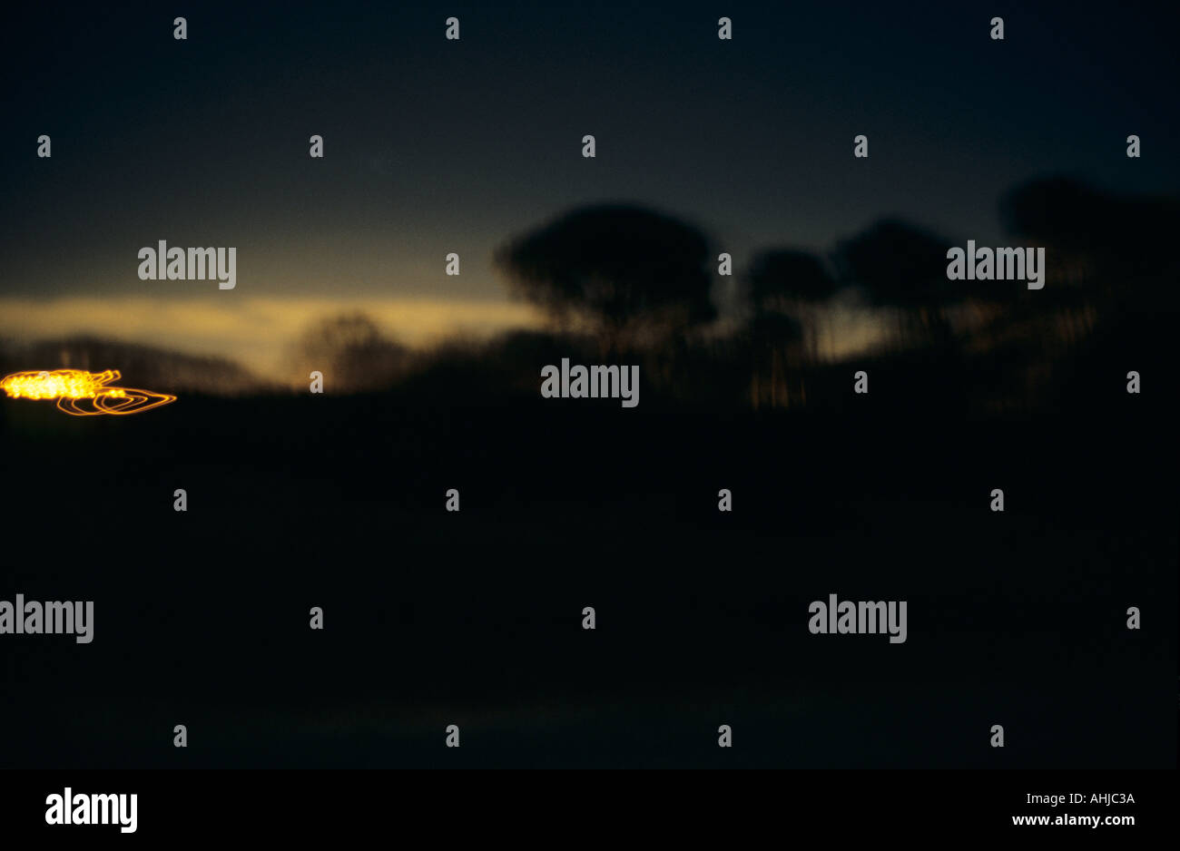 Mouvement image floue des arbres silhouettés contre le ciel de crépuscule avec des stries de lumière jaunes sur la gauche. New Forest, Hampshire, Royaume-Uni. Banque D'Images