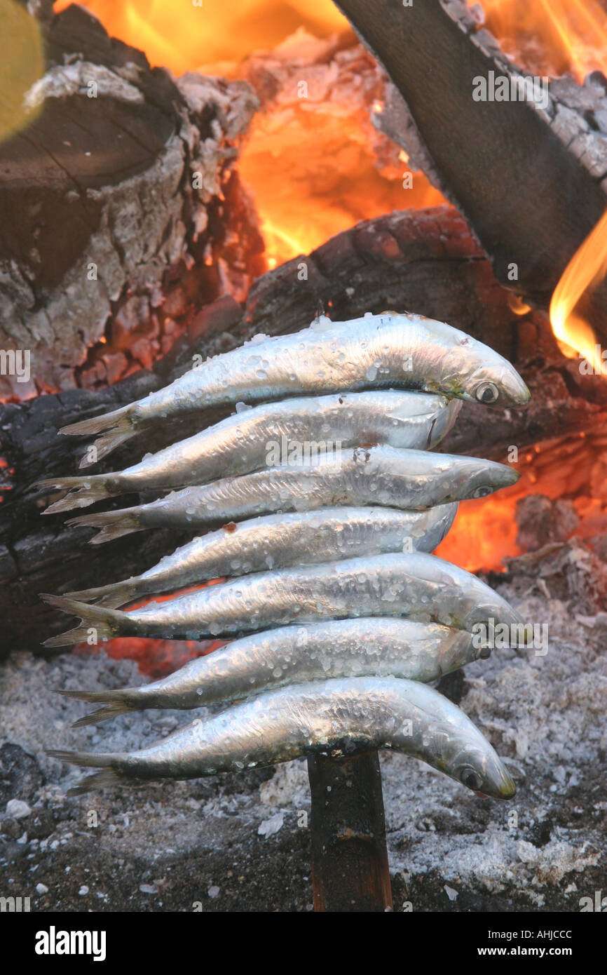 Andalousie Espagne Espetos de sardinas Sardines grillées sur spit Banque D'Images