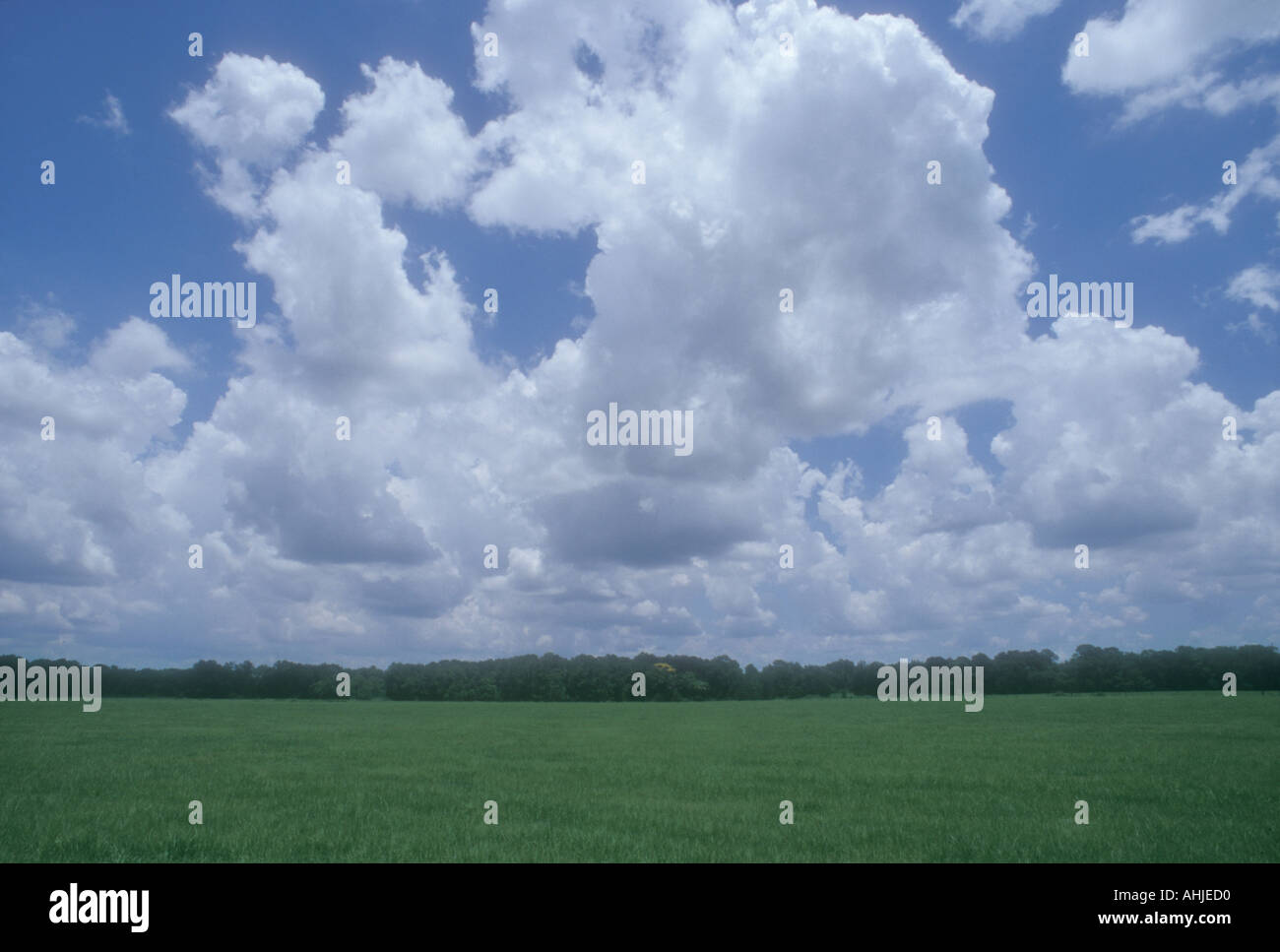 Ciel bleu et nuages Banque D'Images