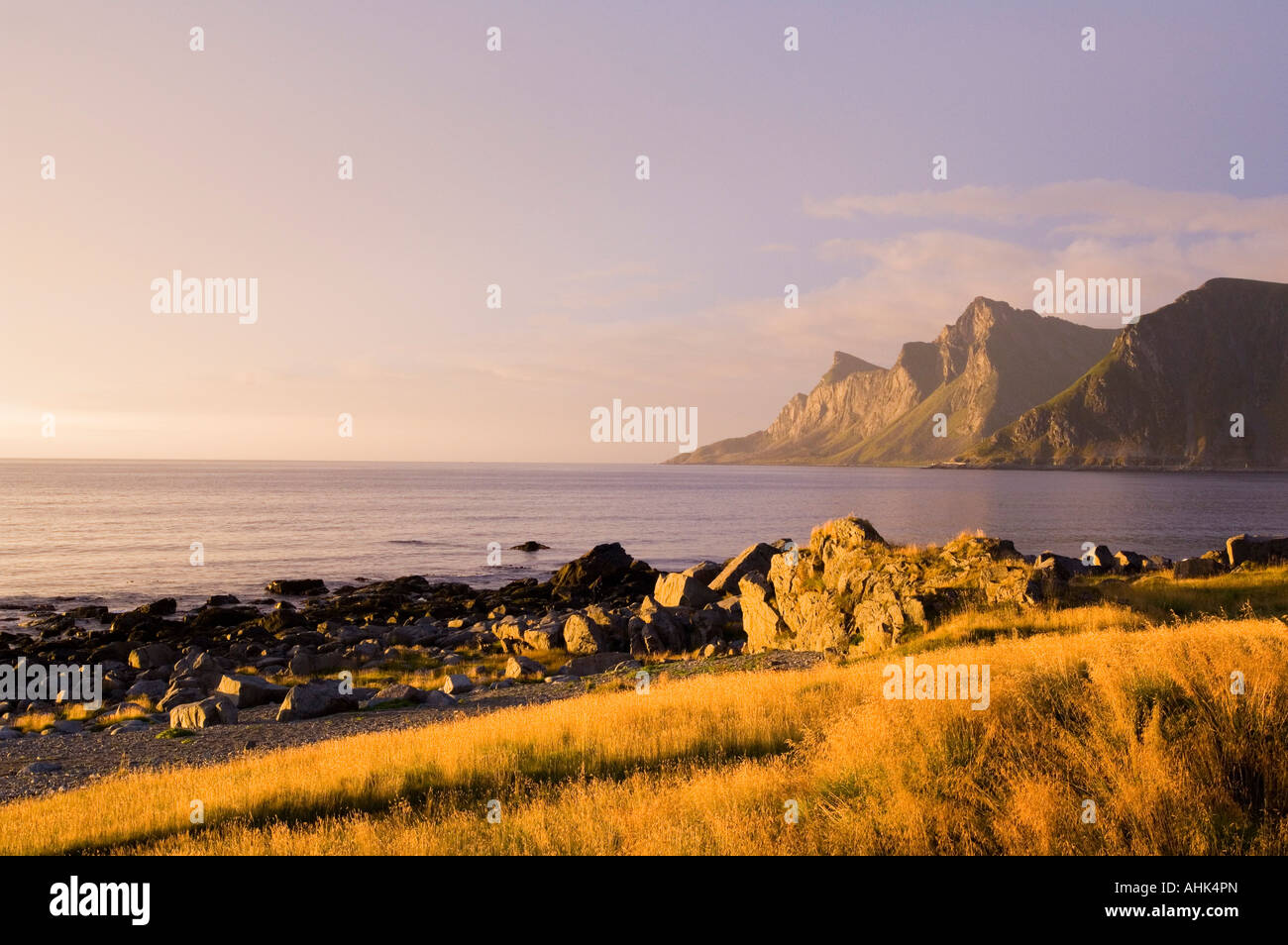 Coucher du soleil à côte près de Ramberg Lofoten, Norvège Banque D'Images