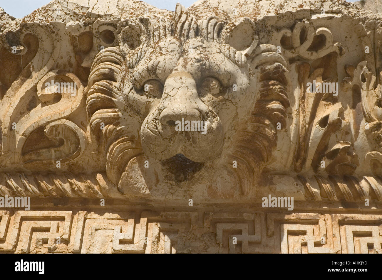 Liban Baalbek Temple Jupiter décoration lion Banque D'Images