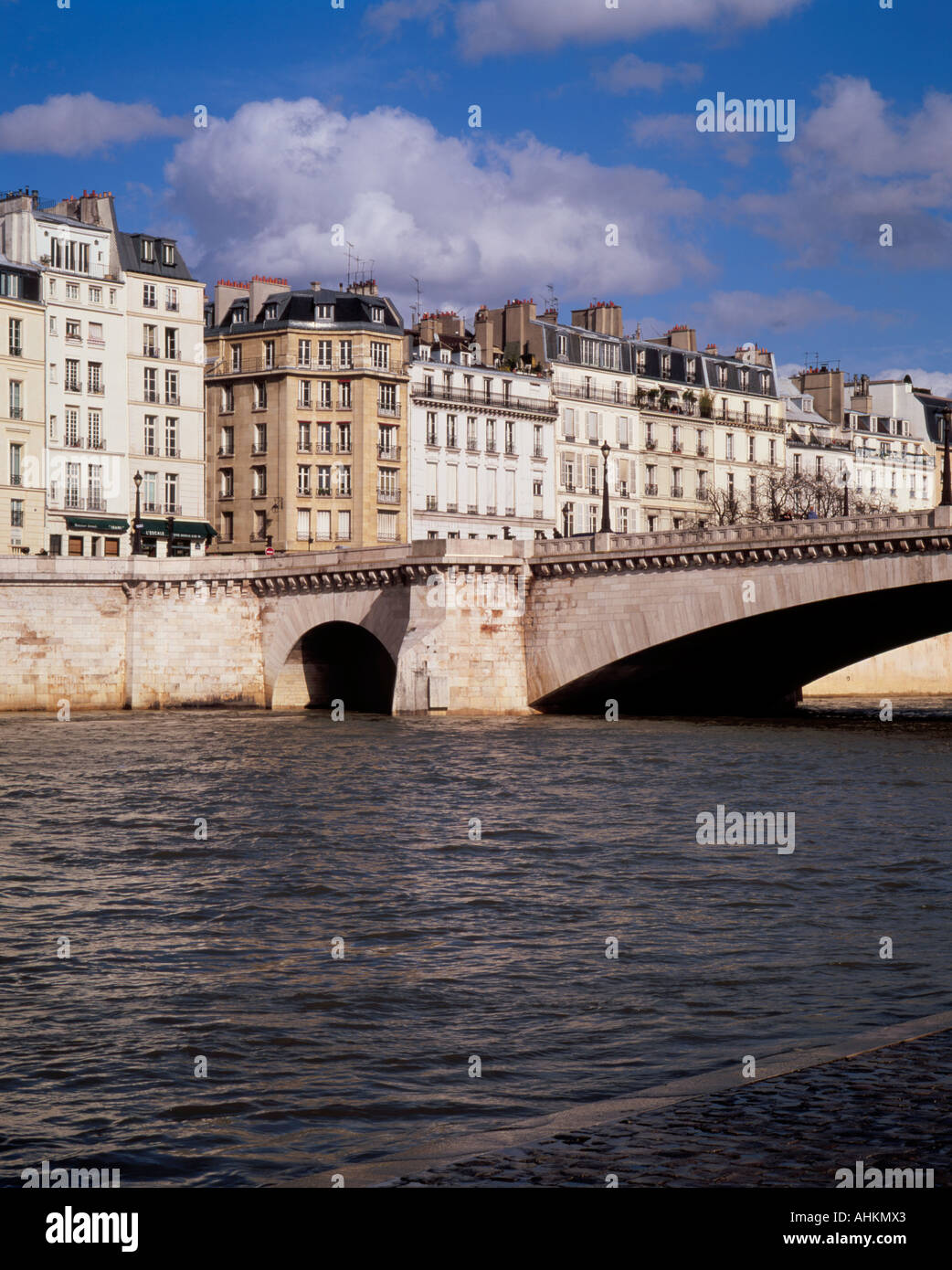 Pont de la Tournelle et Seine River Paris France Banque D'Images