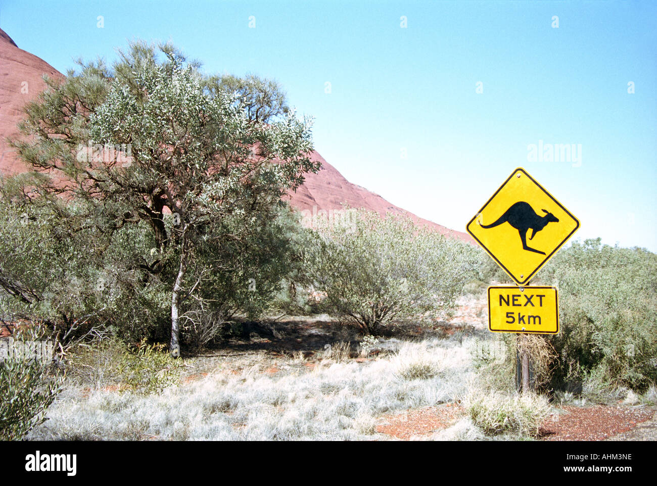 Ayers Rock, Uluru, Kangoroo Street Sign, Kata Tjuta National Park, Australie Banque D'Images