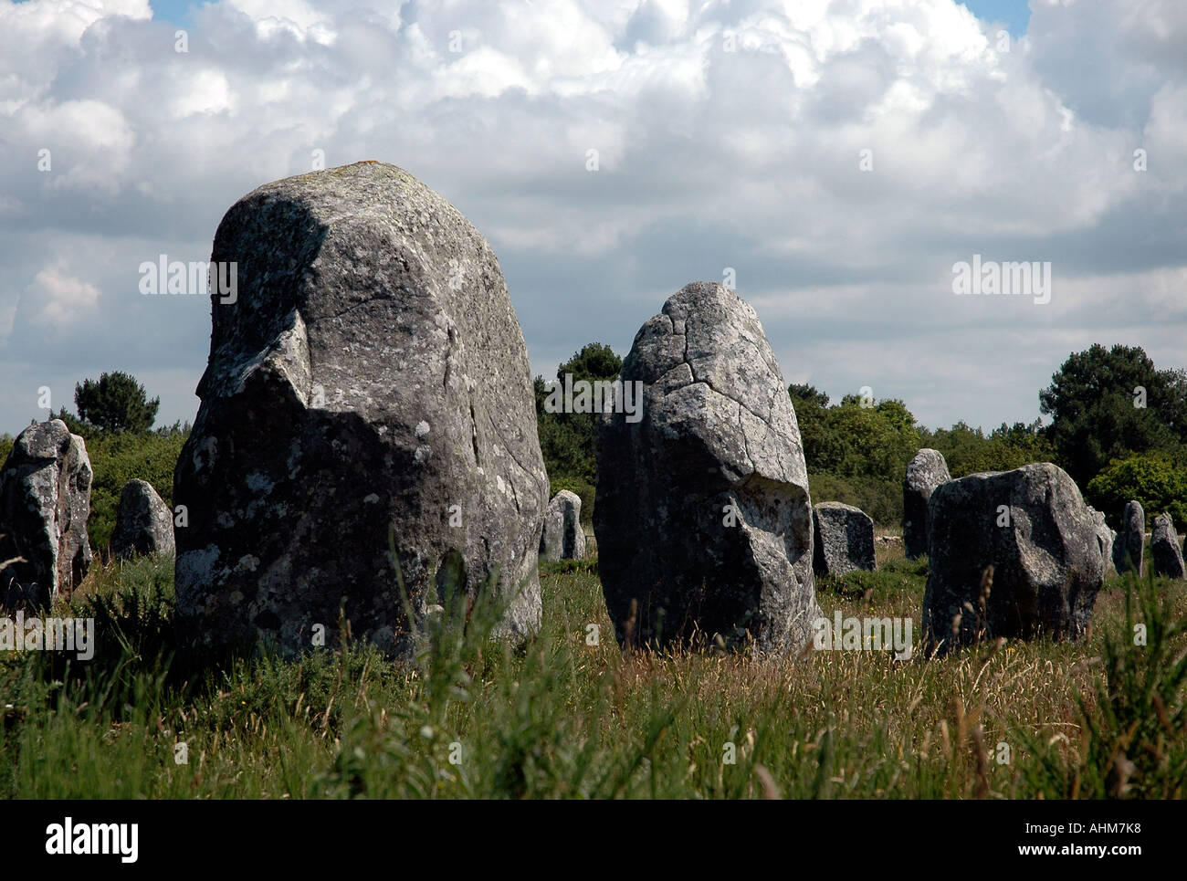 Certains des menhirs datant de 4000, entre 5000 et 2000 avant J.-C., situé dans l'alignement sur 4 km près de Carnac en Bretagne Sud Banque D'Images