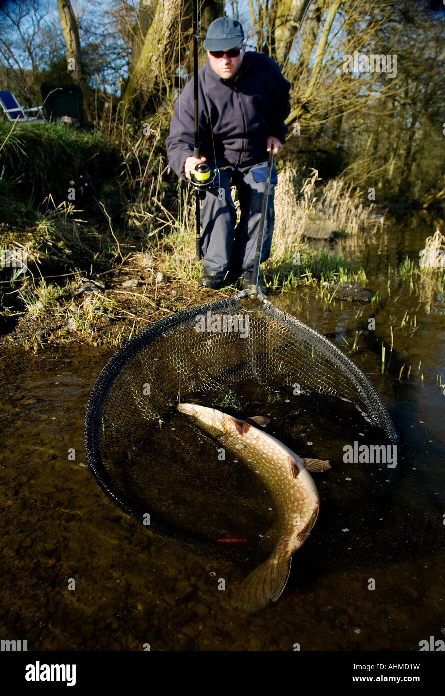 Atterrissage pêcheur pike uk Banque D'Images