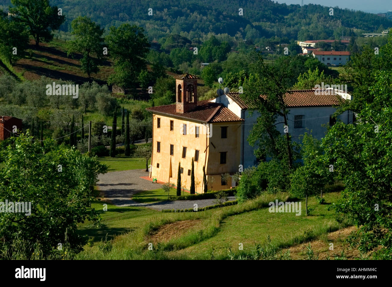 L'huile d'olive Vin Oilive Lucca Jardin calme la paix Banque D'Images