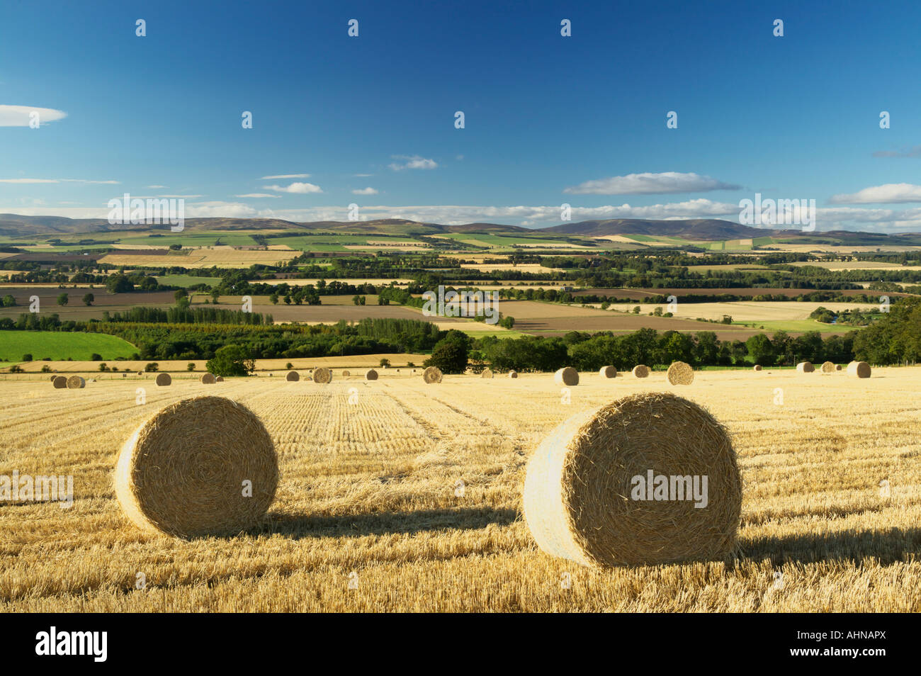 Vue sur Strathmore près de Brechin, Angus, Scotland, UK Banque D'Images