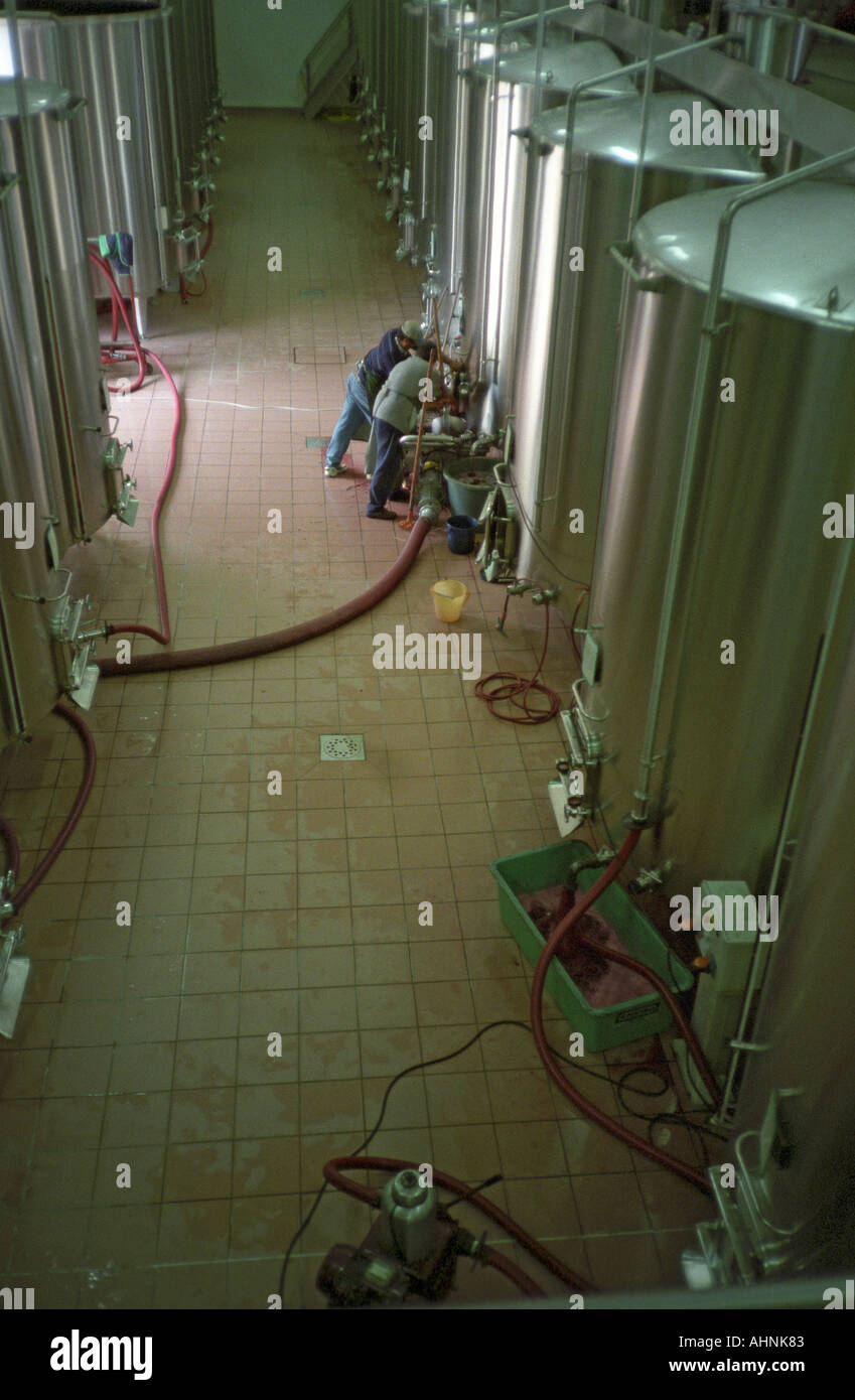 Béton et acier inoxydable cuves de fermentation, deux ouvriers le pompage du vin (remontage), dans la cave du Domaine Saint Martin de la Garrigue, Montagnac, Coteaux du Languedoc, Languedoc-Roussillon, France Banque D'Images