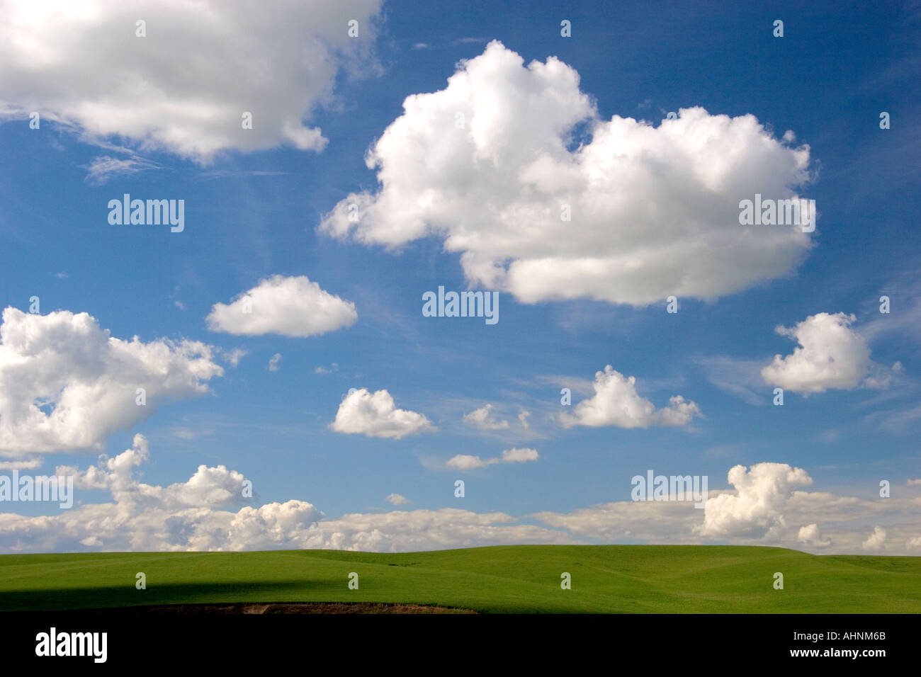 Blé de l'est Washington ferme avec collines et nuages Banque D'Images