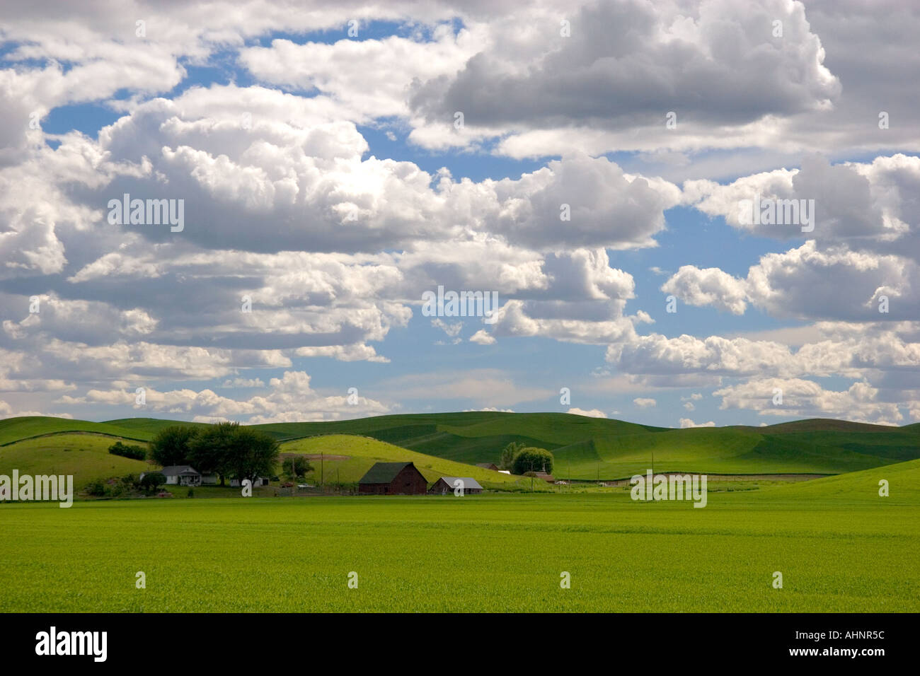 Blé de l'est Washington ferme avec collines et nuages Banque D'Images