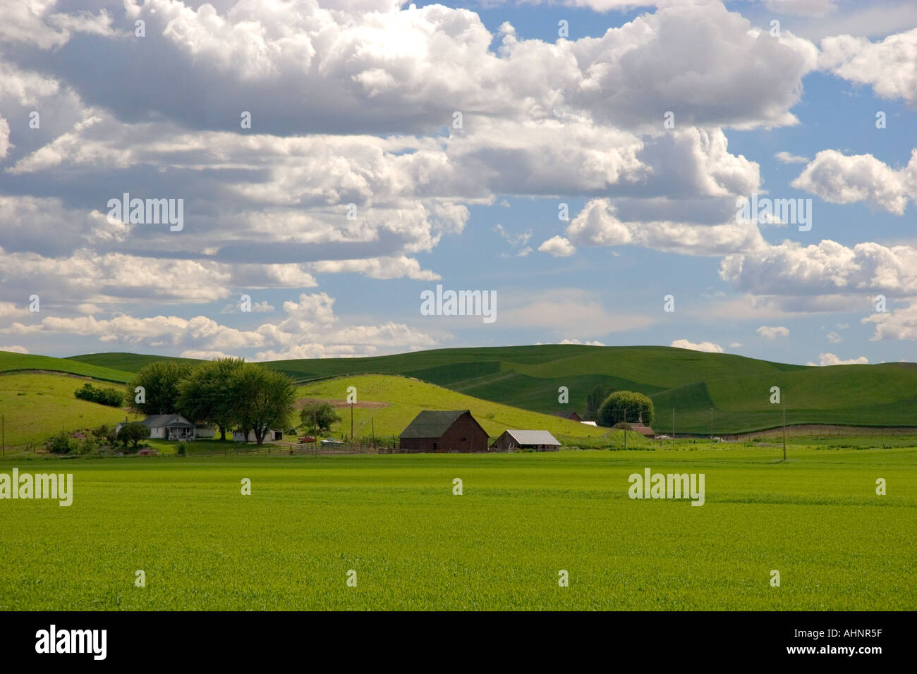 Blé de l'est Washington ferme avec collines et nuages Banque D'Images